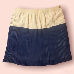 FOREVER 21 Pleated Skirt